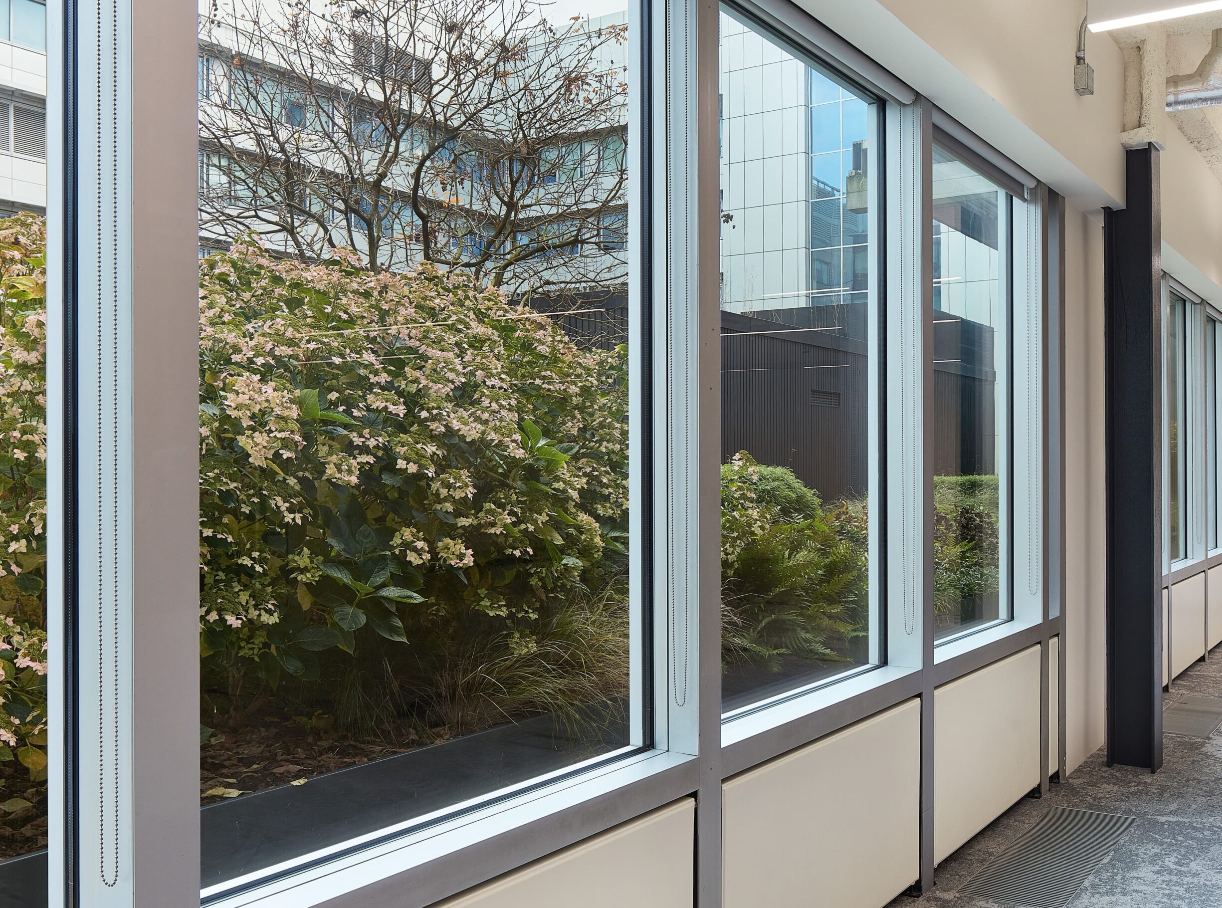 HR DNCO WCP WW1 ST U10 510 13 copy